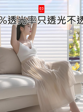 日本百叶窗户贴纸防走光