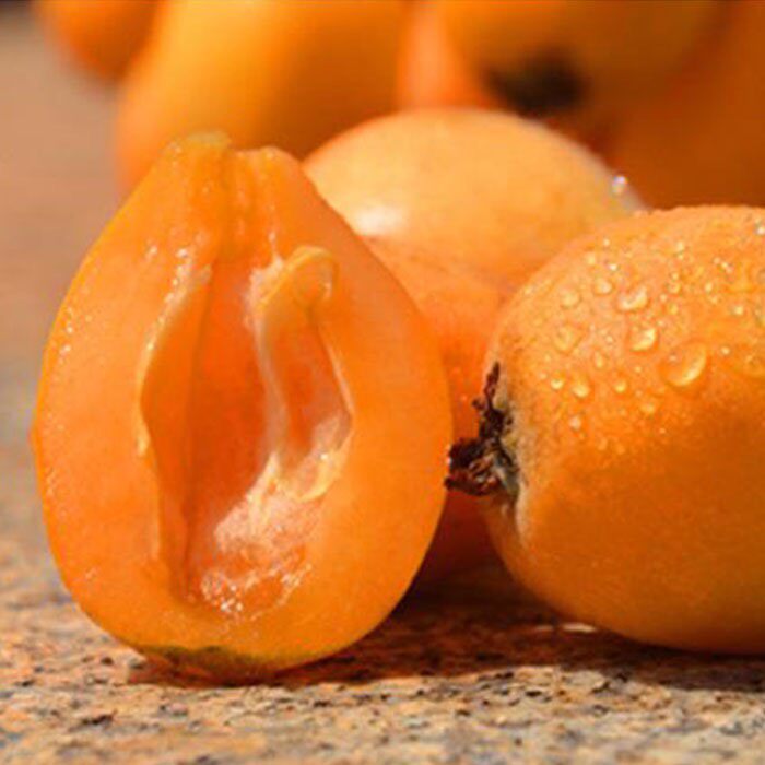 【精品】正宗塘栖枇杷红枇杷大红袍红毛丫头新鲜水果塘西枇杷果