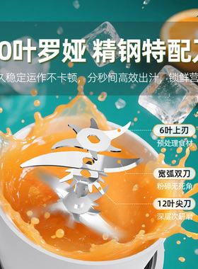 罗娅便携式玻璃榨汁机