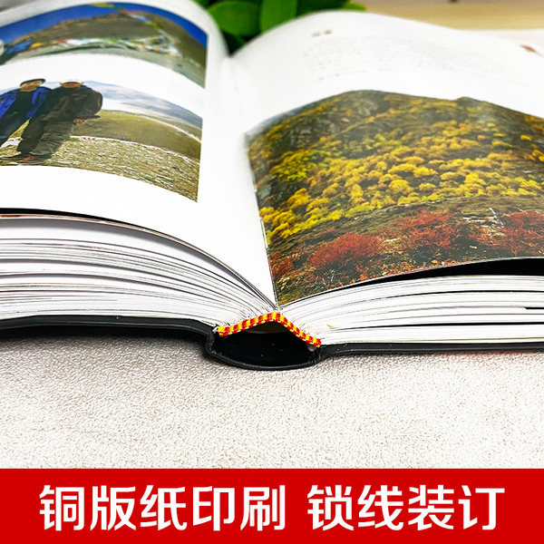 正版保证】数码单反摄影从入门到精通手机相机摄影入门书籍拍照摄影机拍摄技巧书籍摄影教材教程人物后期学院级佳能入门自学教材
