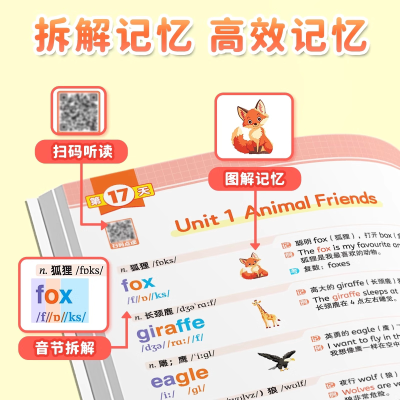 满分星秒记初中英语单词2400词 新初中人教版词汇2025新版汇总必备默写本2000词 初一妙记必背核心新改版2000 中考妙计 初中生秒背