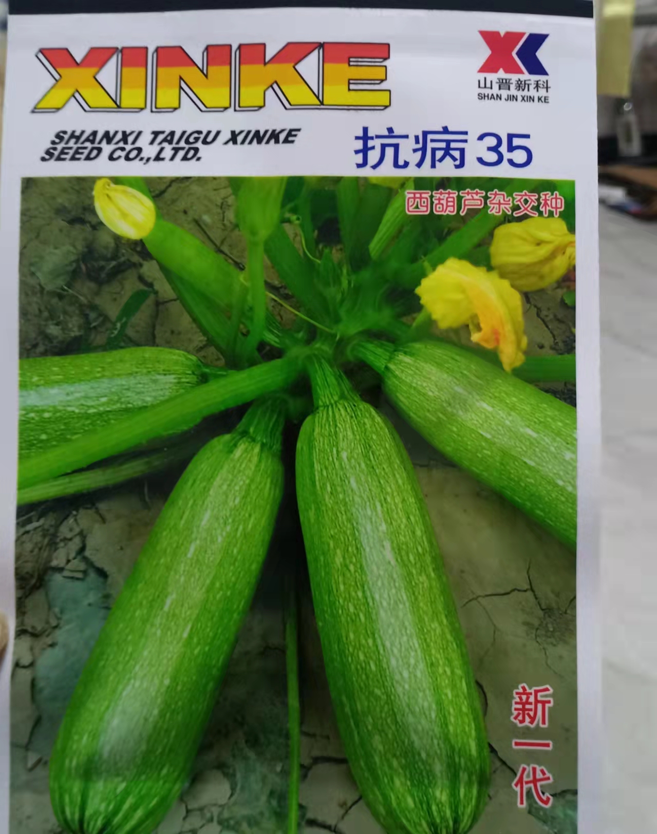 大西葫芦种子菜农专用庭院小菜园栽种老品种抗病优质春季秋季蔬菜 - 图3