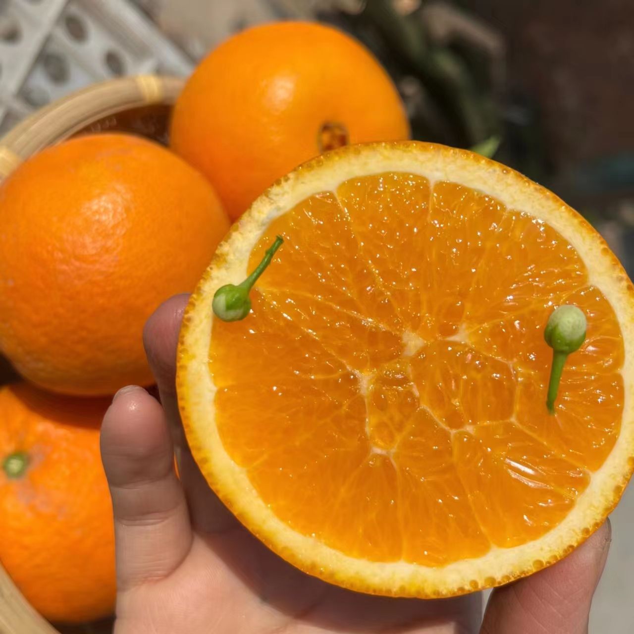 宜昌秭归伦晚脐橙10斤整箱当季现摘新鲜甜橙子果冻橙柑橘大中水果