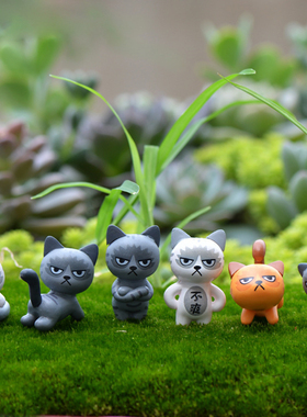 盆栽摄影可爱风猫咪多肉植物道具