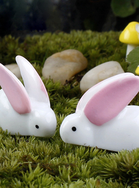 微景观可爱风摄影彩绘卡通动物