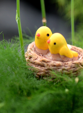 微景观生态瓶盆栽摄影道具小摆件