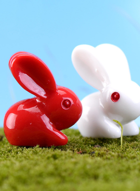 微景观盆栽创意摄影可爱风小动物