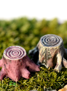 微景观盆栽摄影田园风多肉小摆件