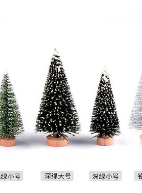 盆栽植物生态瓶可爱风摄影圣诞树