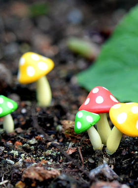 diy多肉盆栽蘑菇植物公仔小摆件