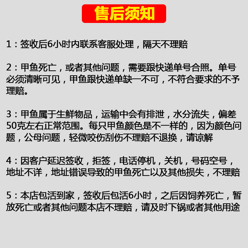 直播福利大甲鱼活体包邮中华海鲜活团脚鱼老鳖王八特产 - 图1