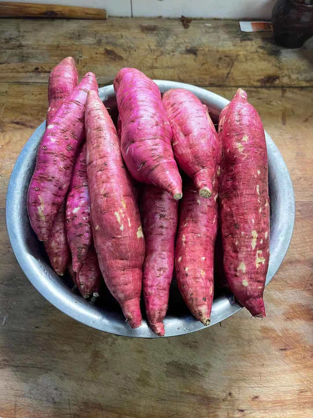 新鲜黄白心沙土地糖心蜜薯板栗红薯 陆鲜生番薯