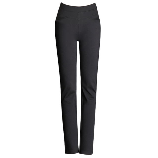 2026 Summer Spring Autumn New Straight Leg Pants Elastic Slim High Waist Elastic Mom Pants Long Pants Women's Nine-Point Pants