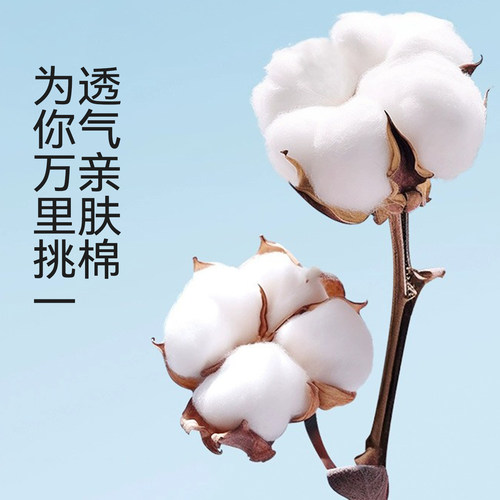 【闭眼买，不踩坑19.9元】2条装男女纯棉抗菌不夹臀三角平角内裤 - 图1
