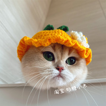 Dog headgear headgear Teddy Yorkshire Adorned Pet Kitty kitty Orange Hood hat than a Bear wool line hat