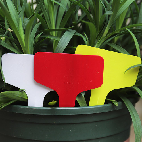 园艺多肉标签牌兰花花卉盆栽园艺插地牌植物花名标签防水插牌工具 - 图0