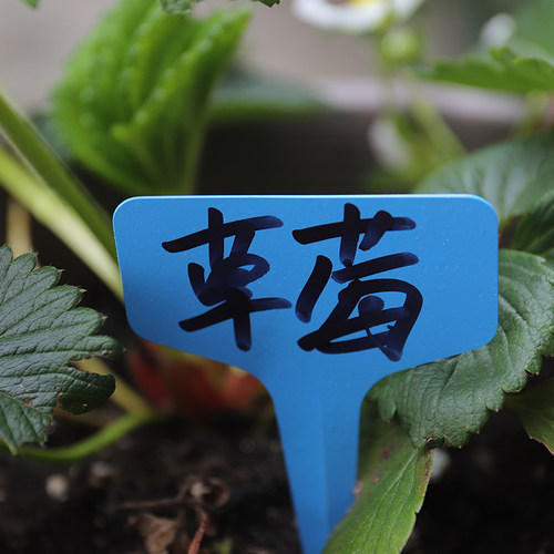 园艺多肉标签牌兰花花卉盆栽园艺插地牌植物花名标签防水插牌工具 - 图1