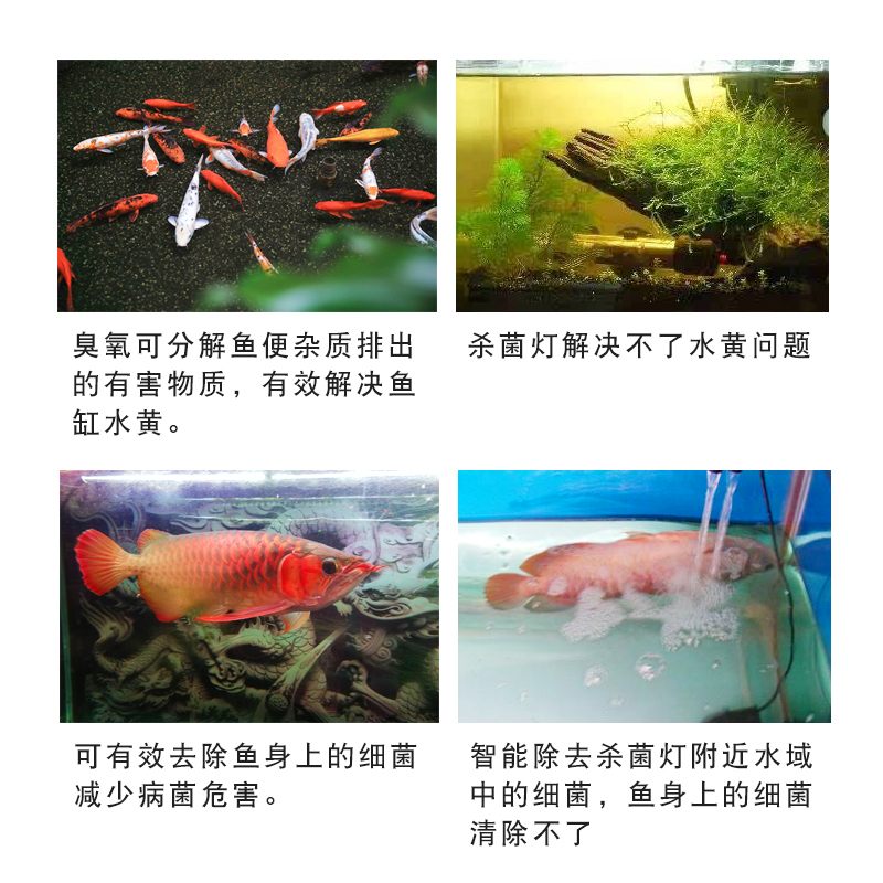 静风听海水族专用臭氧机活氧发生器鱼缸鱼池杀菌除藻除臭净水防病-图1