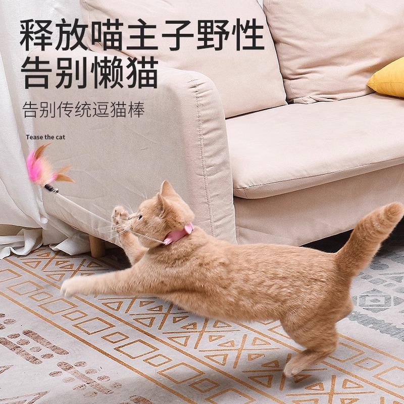 头戴式逗猫棒玩具猫咪自嗨解闷消耗体力神器自动羽毛项圈逗猫用品