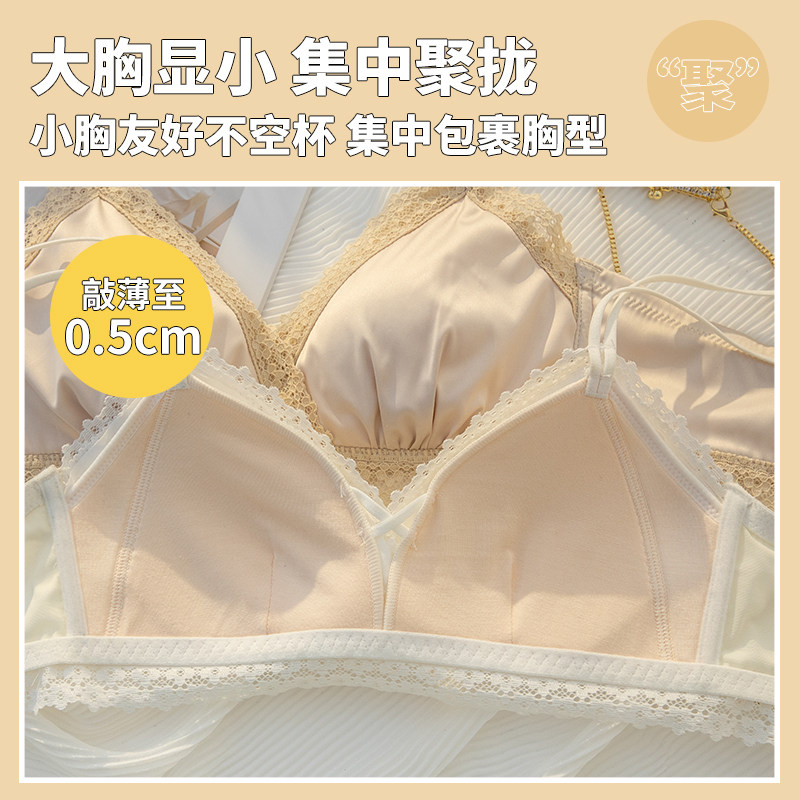 法式美背夏季轻薄款大胸显小内衣 黛莎妃文胸