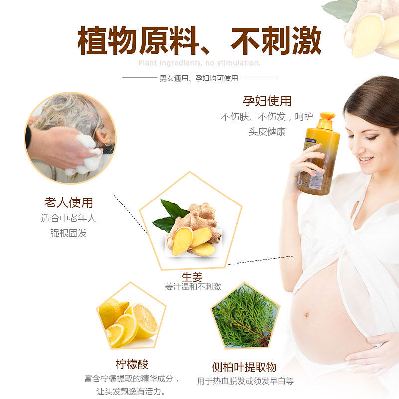 琴叶生姜防脱发强根保养女老洗发露 琴叶汇洋洗发水