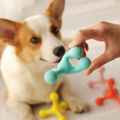 Игрушка, прорезыватель для правильного прикуса для тренировок, домашний питомец