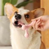 Игрушка, прорезыватель для правильного прикуса для тренировок, домашний питомец