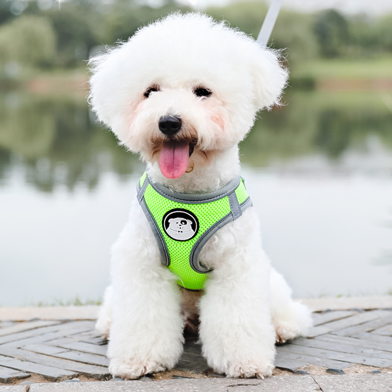 背心式狗狗牵引绳小型犬胸背带泰迪比熊博美小狗幼犬遛狗绳狗链子-图0