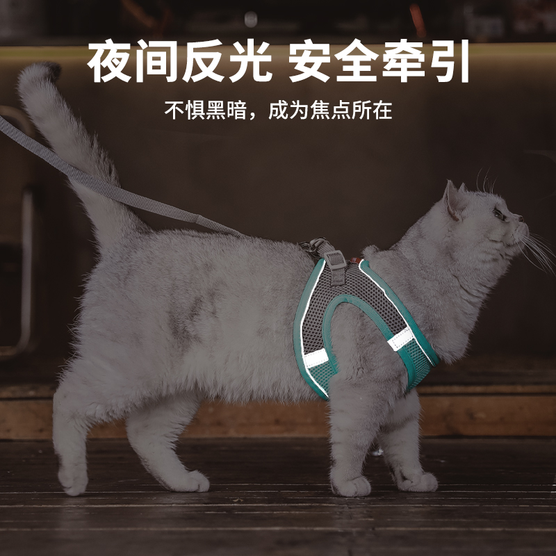 猫咪牵引绳防挣脱背心式外出专用可调节遛猫链子小型犬出门胸背带 - 图1