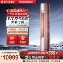 (Greeg Force Official) Level Energy Efficiency Frequency Conversion Cold And Warm 3 Living room Health Bacteria Air Conditioning Cabinet CLOUD PLATINUM