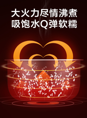 格力3L电饭煲家用多功能不锈钢