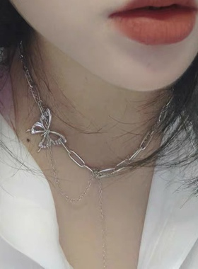 个性百搭蝴蝶项链女轻奢小众设计感ins嘻哈冷淡风秋冬锁骨毛衣链