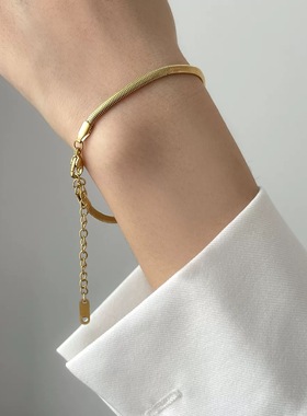 欧美博主同款气质通勤18K包金色宽细亮蛇骨扁手链叠戴简约极简潮
