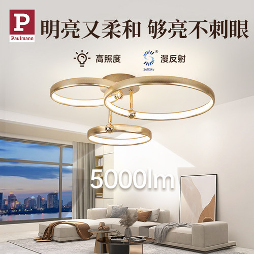 【补贴15%】德国柏曼轻奢客厅灯吸顶灯创意圆环现代简约智能灯具 - 图1