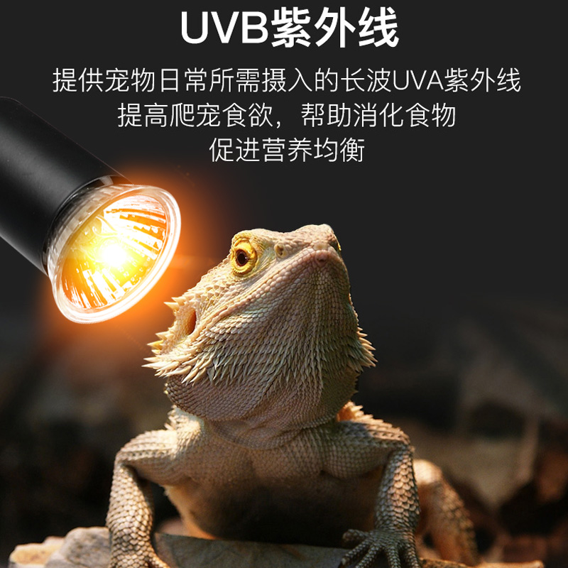 乌龟晒背灯加热保温灯uva+uvb太阳灯爬宠加热龟缸灯保温杀菌夹灯 - 图2