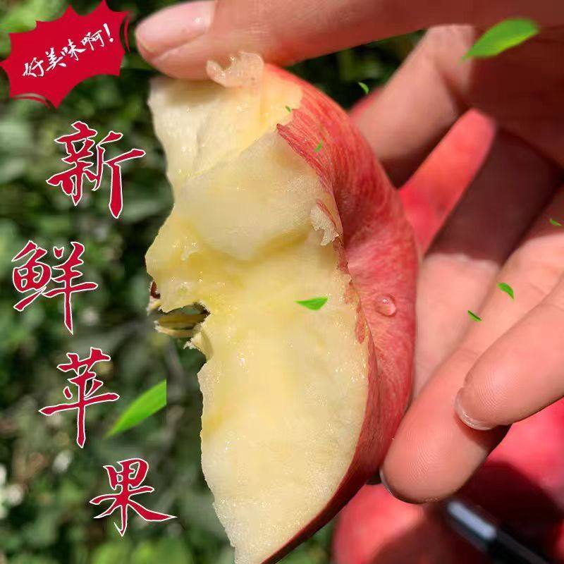 陕西洛川苹果10斤新鲜水果红富士应当季整箱礼盒冰糖心丑脆甜A,淘宝优惠券,粉丝福利购,淘宝优惠卷