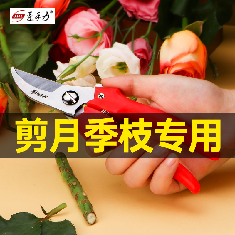 月季枝 新人首单立减十元 21年7月 淘宝海外