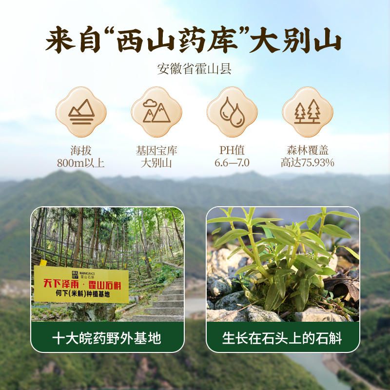 天下泽雨霍山石斛鲜条官方正品正宗米斛鲜条新鲜石斛养生茶非铁皮