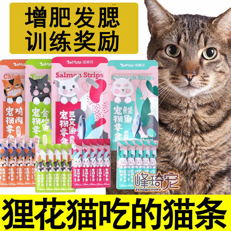 中华狸花猫幼猫 新人首单立减十元 22年6月 淘宝海外