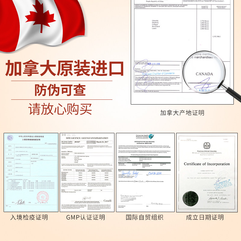 vorst双植物多种维生素蛋白质粉 vorst大豆分离蛋白/混合蛋白