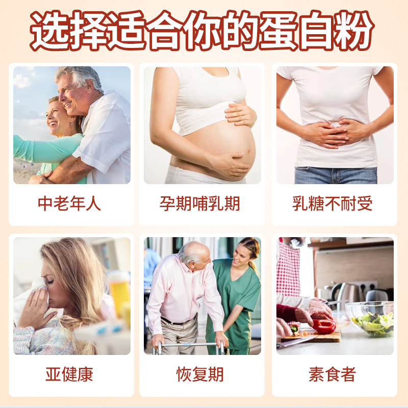 vorst双植物多种维生素蛋白质粉 vorst大豆分离蛋白/混合蛋白