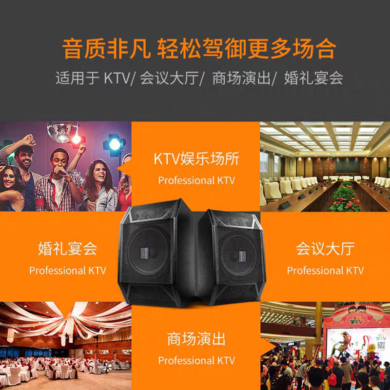 新科家庭ktv专业大功率10寸音响 新科玖利度KTV/卡拉OK音箱