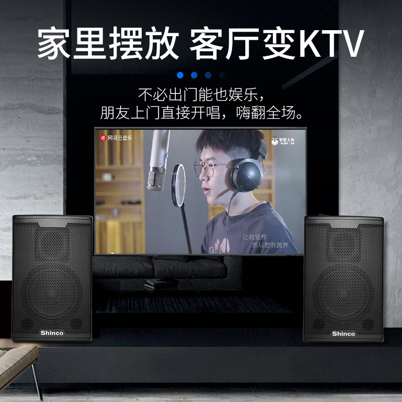 新科家庭ktv5套装功放会议专业高端 新科玖利度KTV/卡拉OK音箱