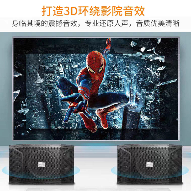 新科家庭ktv专业大功率10寸音响 新科玖利度KTV/卡拉OK音箱