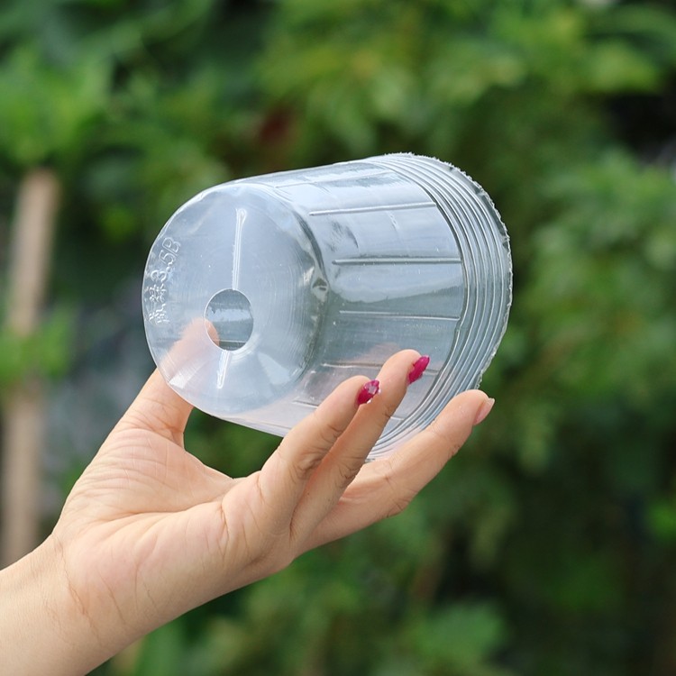 蝴蝶兰专用营养杯种植杯兰花栽培花盆石斛兰育苗透明塑料盆营养钵,淘宝优惠券,粉丝福利购,淘宝优惠卷