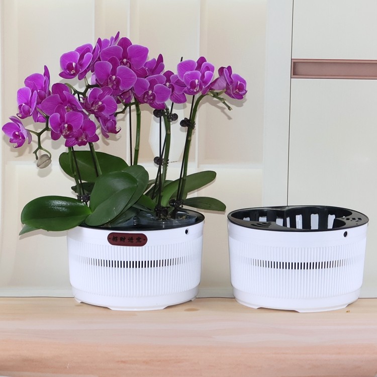 3.5寸兰花杯三孔四孔蝴蝶兰拼组合花盆石斛盆栽育苗钵透气定植篮,淘宝优惠券,粉丝福利购,淘宝优惠卷