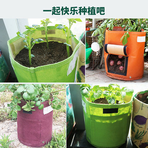 双层土豆种植袋有采摘口 阳台亲子彩色花盆 根茎植物专用种菜神器 - 图3