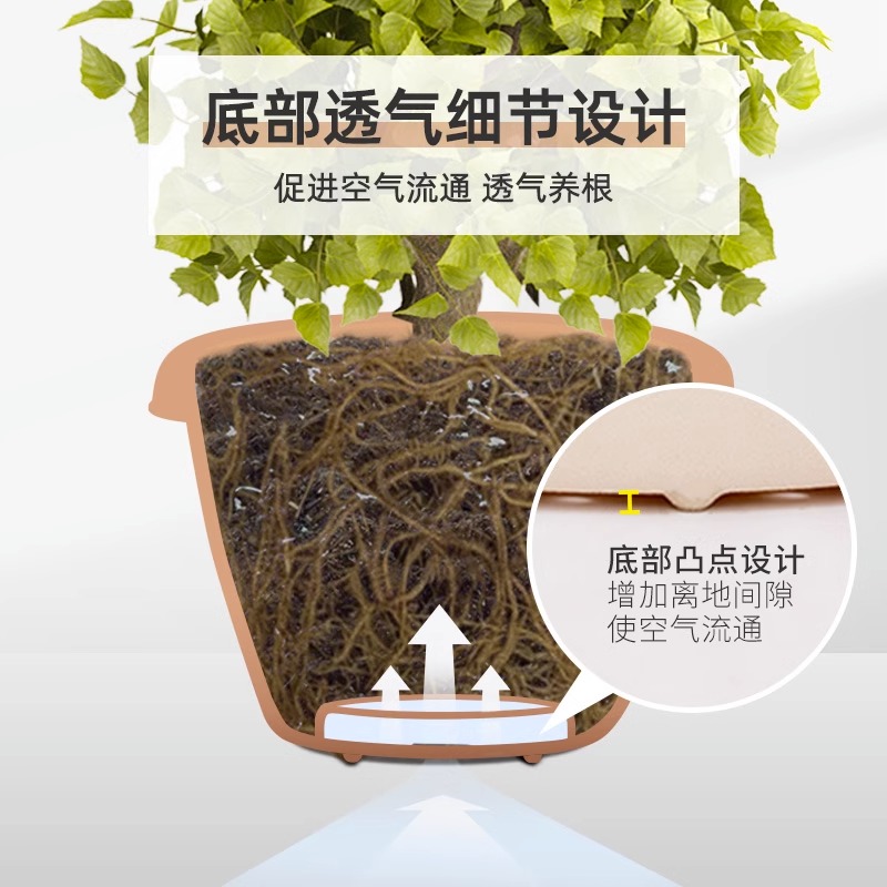 爱丽丝花盆中钵加仑植物控根创意绿萝多肉兰花塑料树脂爱丽思盆 - 图2