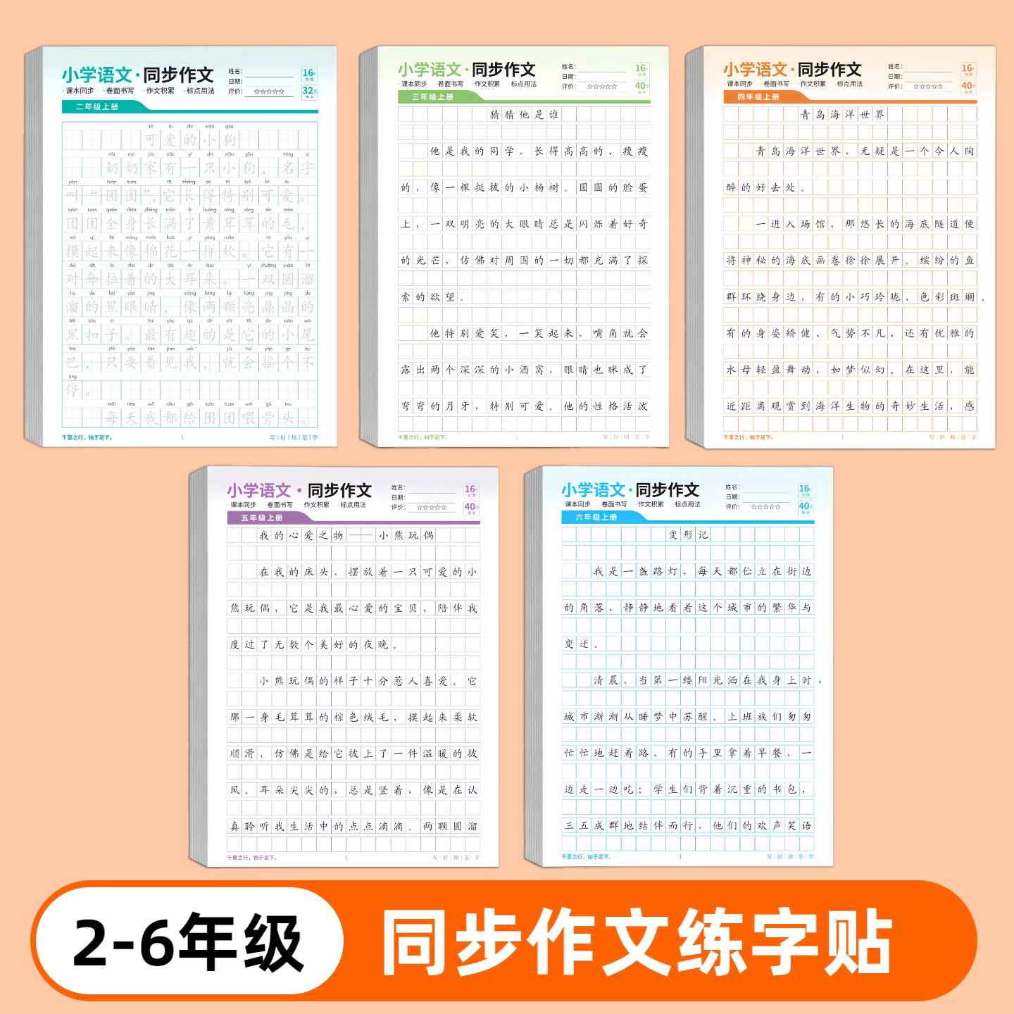图5