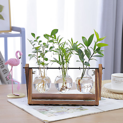 客厅插花摆件创意玻璃小花瓶简约透明水培小型植物容器小口养花盆 - 图1